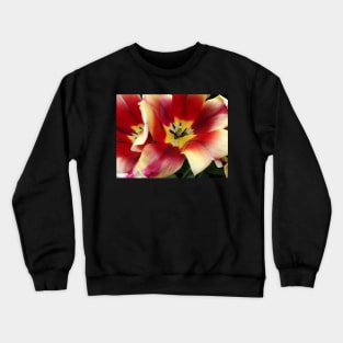 A heart of gold Crewneck Sweatshirt